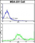 ADRA2B Antibody (Center)